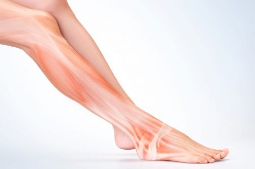 facts about ligaments